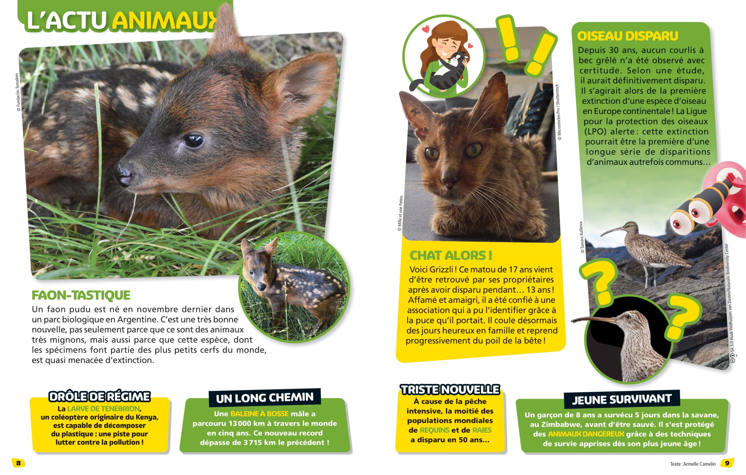 Actu-animaux-3