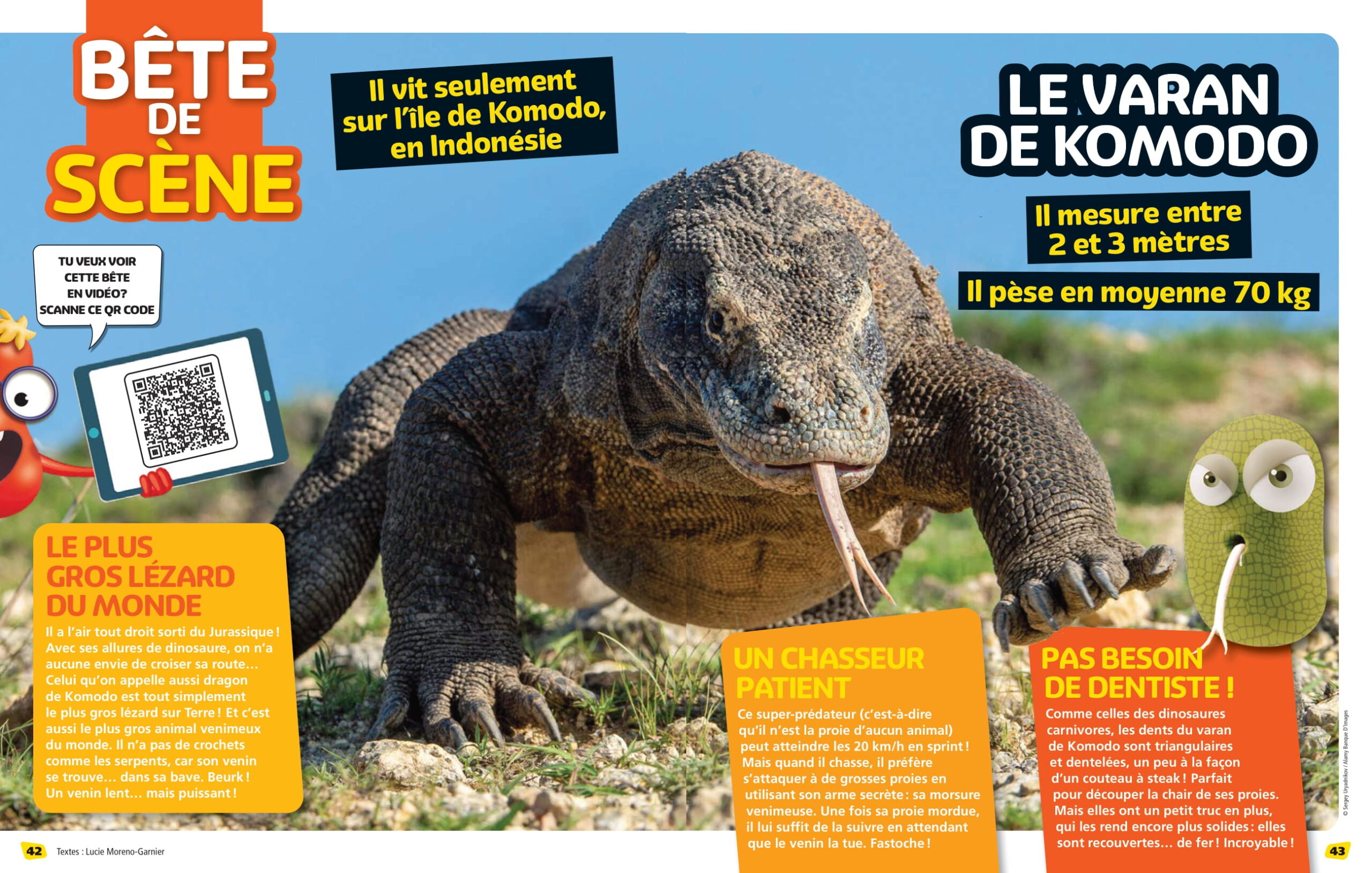 Bete-de-scene-10